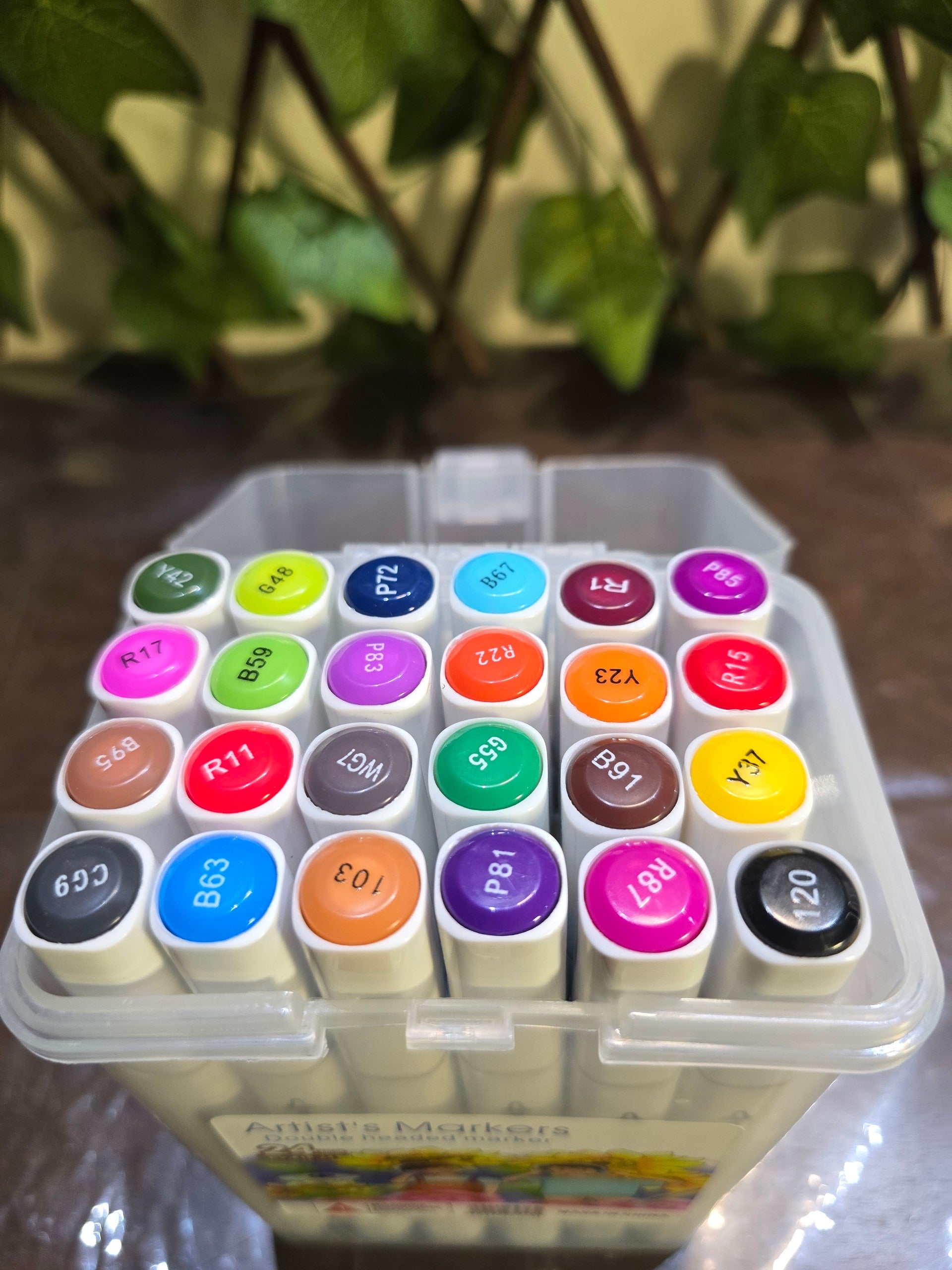 BioCode set of 24 double-headed artist markers in a clear plastic carry case with vibrant colour-coded caps