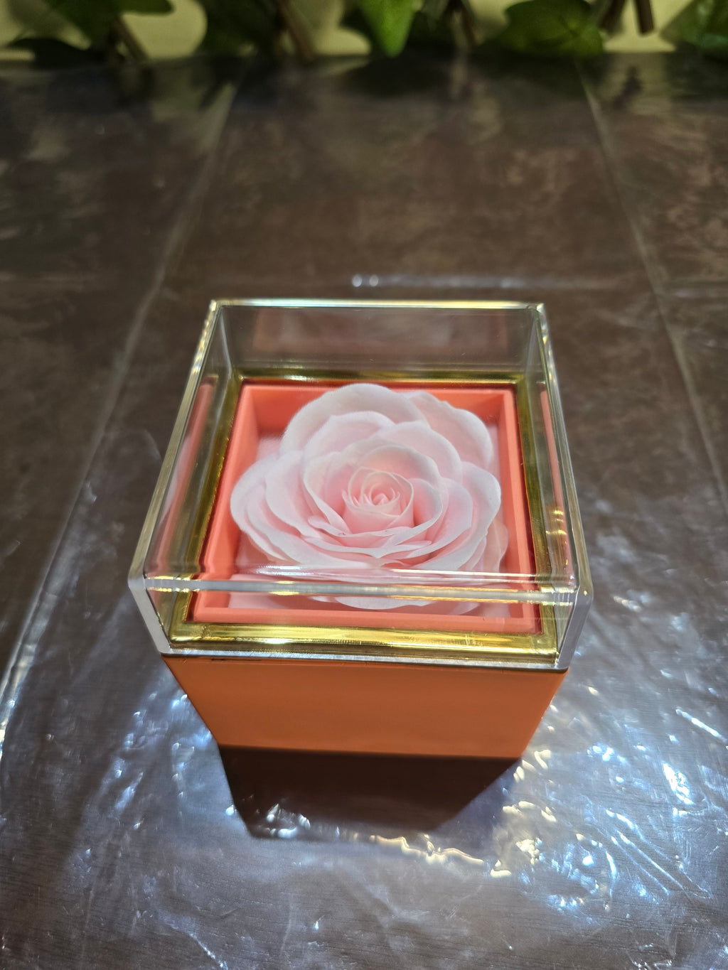 BioCode preserved soft pink rose in a clear display box with a gold-tone rim, perfect for a luxury gift set.