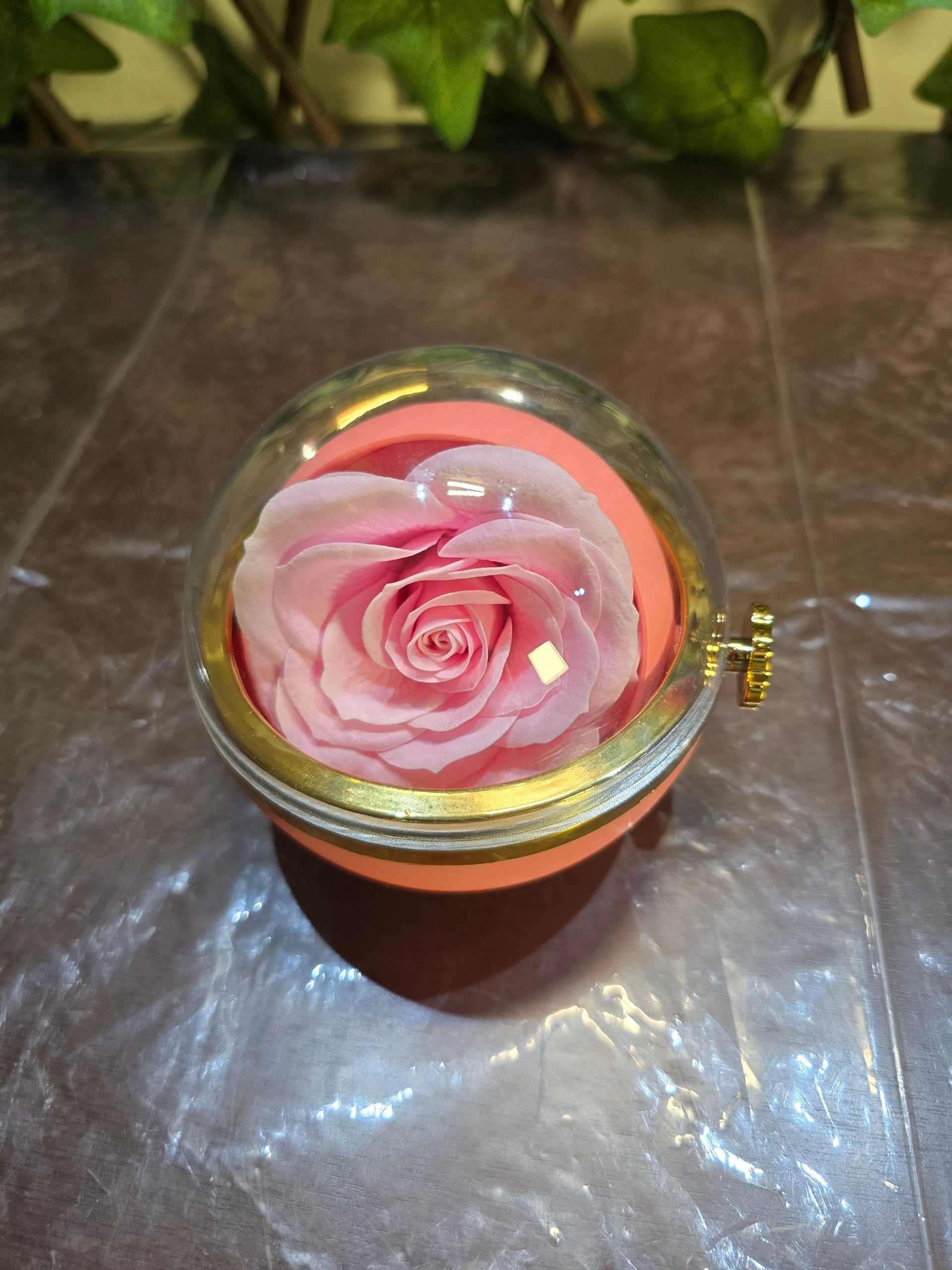 BioCode preserved pink rose jewellery gift box with a clear dome lid and gold-tone accents on a dark surface
