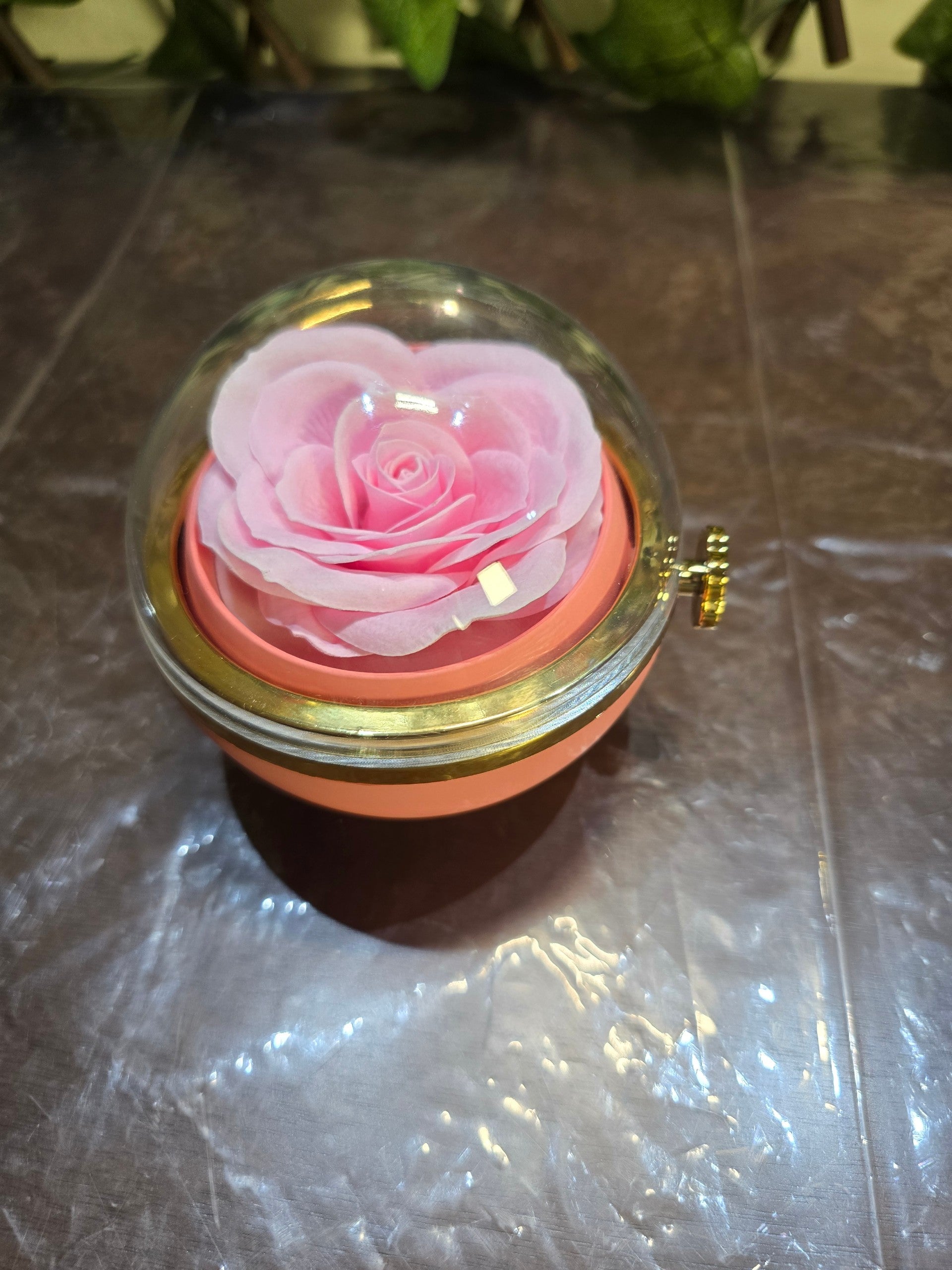 BioCode preserved pink rose jewellery gift box with a clear dome lid and elegant gold-tone trim on a dark surface.