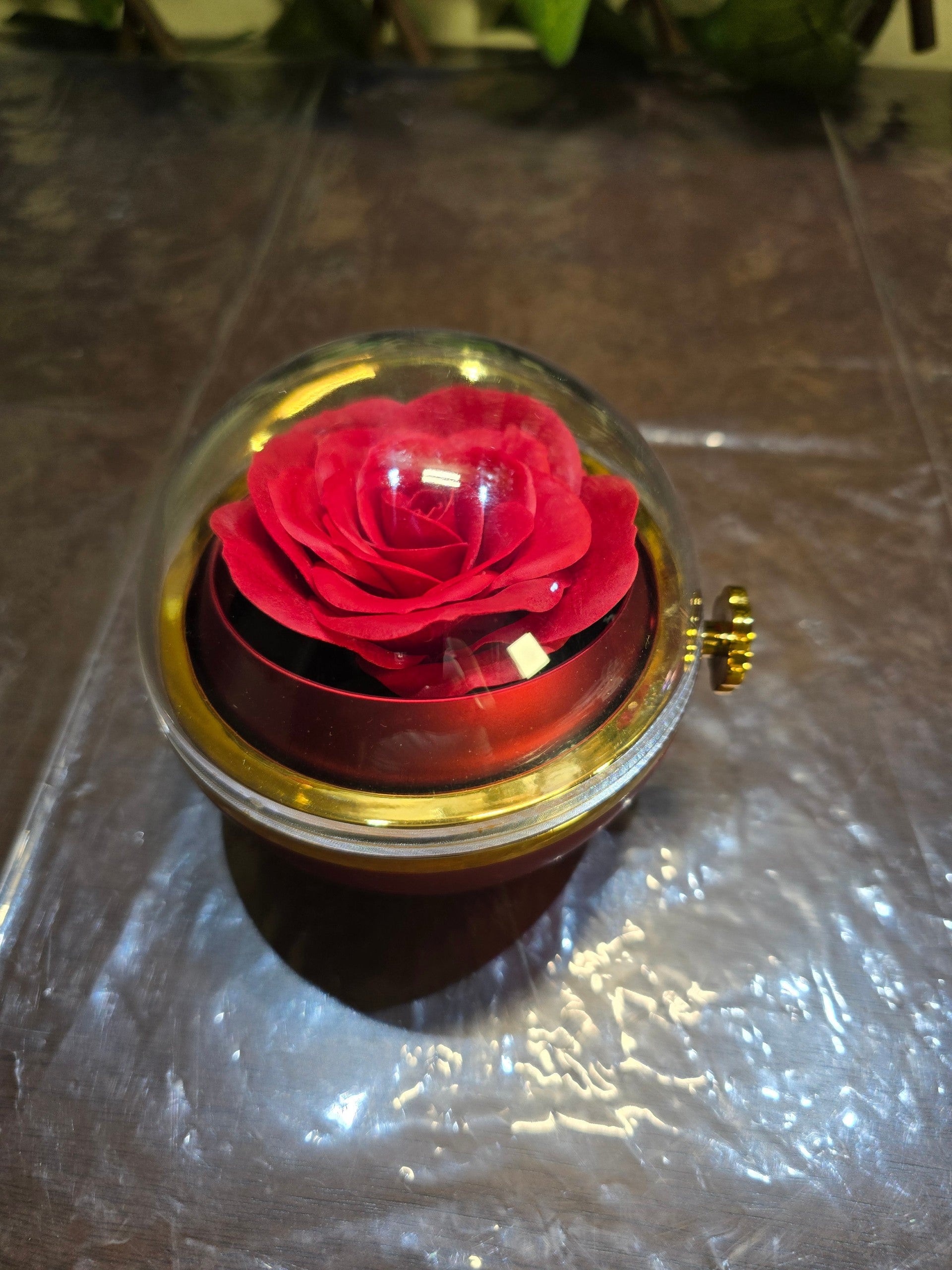 BioCode preserved red rose jewellery gift box with a clear protective dome and elegant gold-tone accents