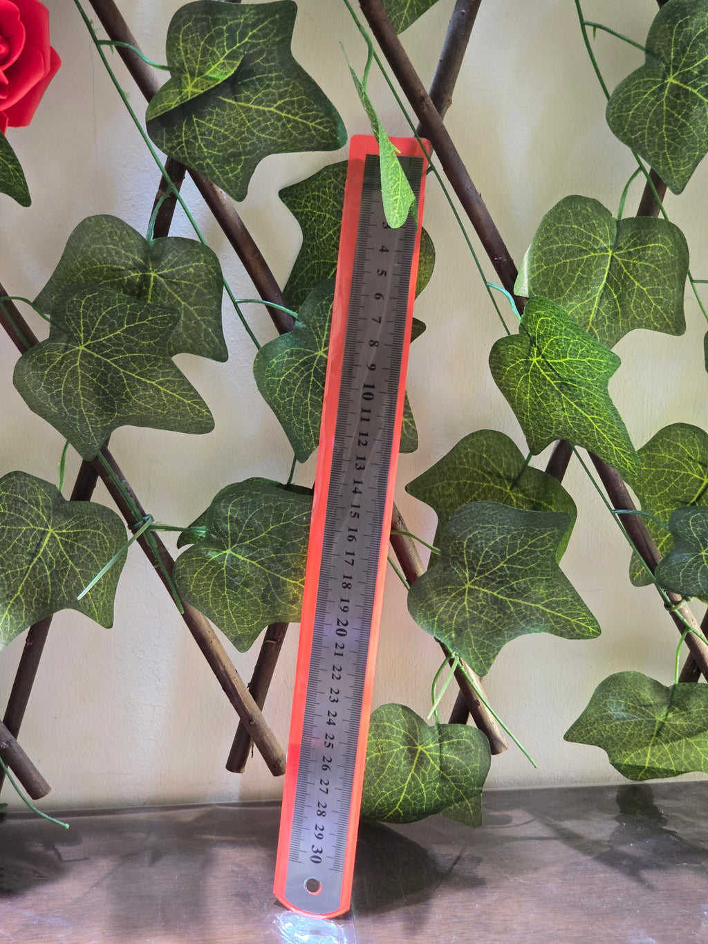 BioCode 30cm stainless steel measuring ruler with clear metric markings and a hanging hole against a trellis background