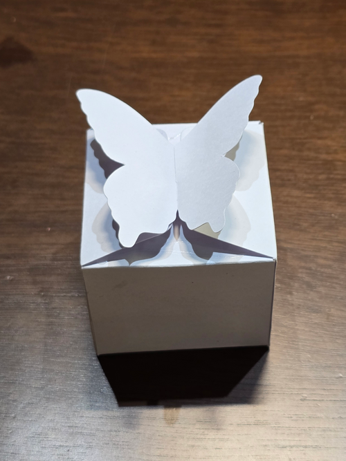 BioCode white cardstock favour box with a 3D die-cut butterfly on the lid for weddings and parties