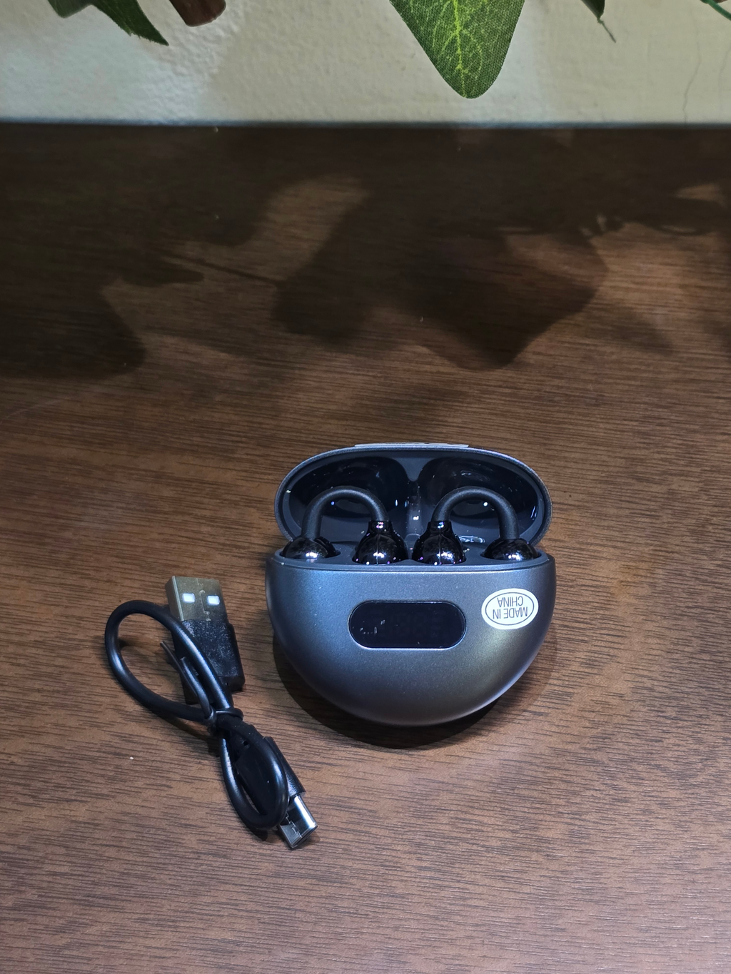 BioCode wireless Bluetooth earbuds in a metallic grey charging case with a USB charging cable on a wooden surface.